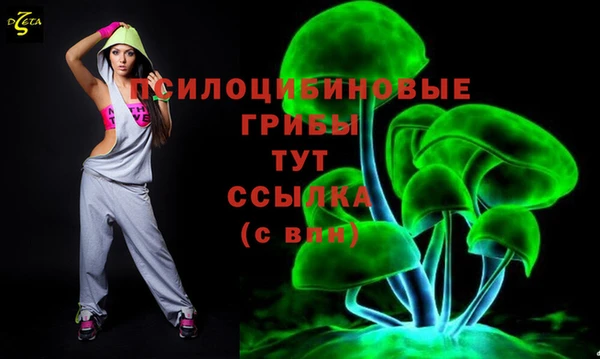apvp Абаза
