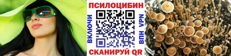 Галлюциногенные грибы GOLDEN TEACHER  это как зайти  Бирюсинск  блэк спрут  